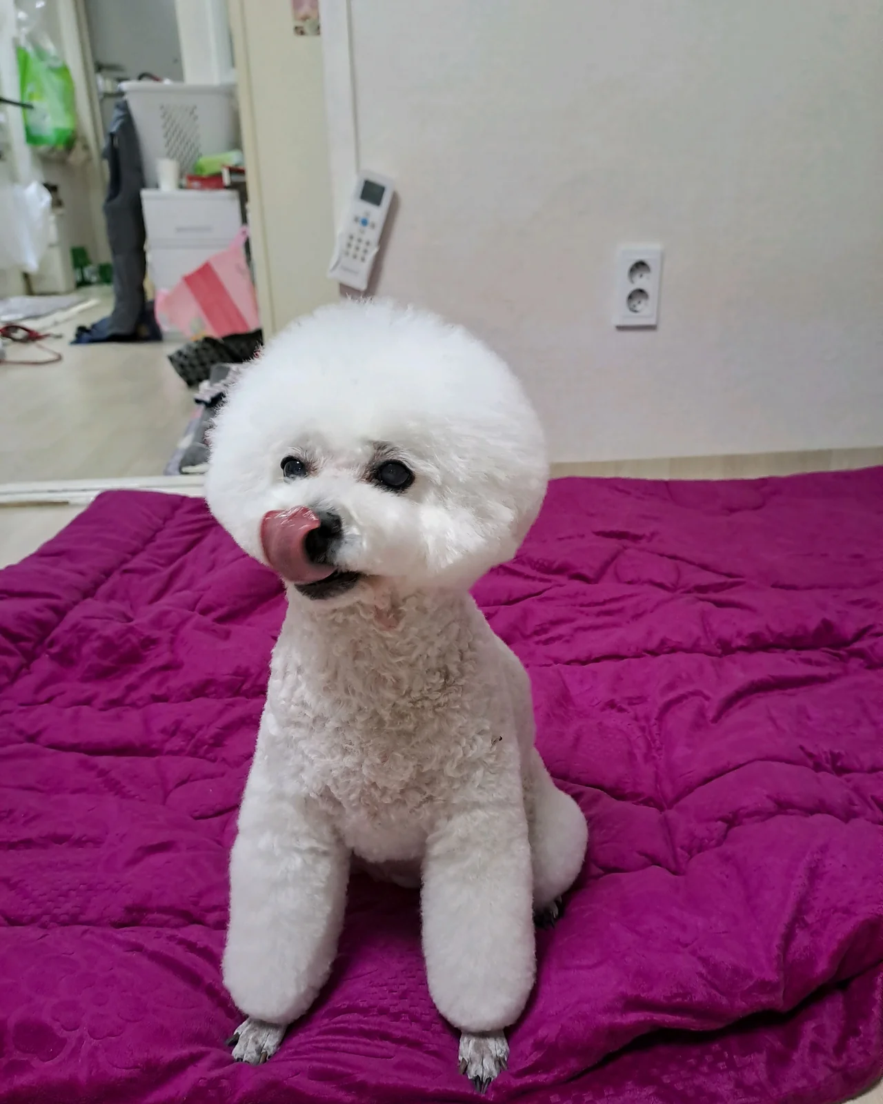 리뷰 사진 4