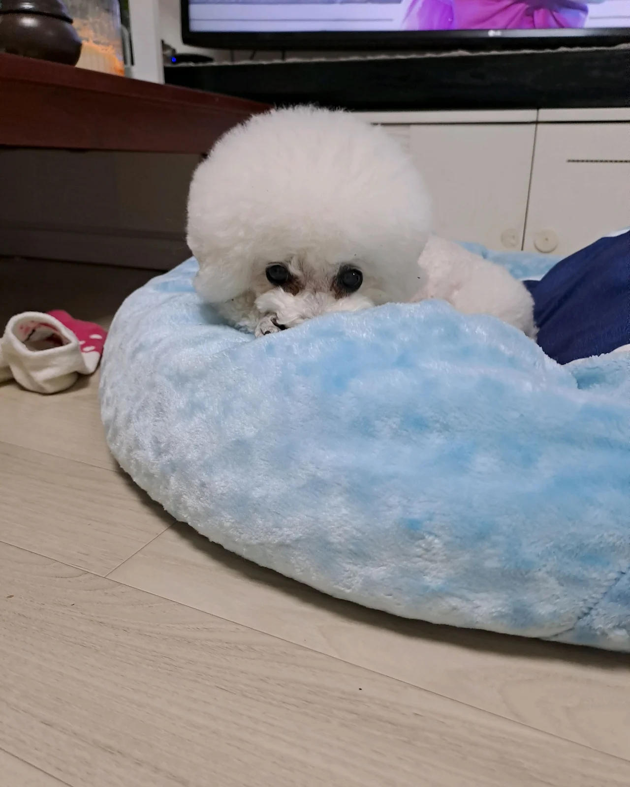 리뷰 사진 5