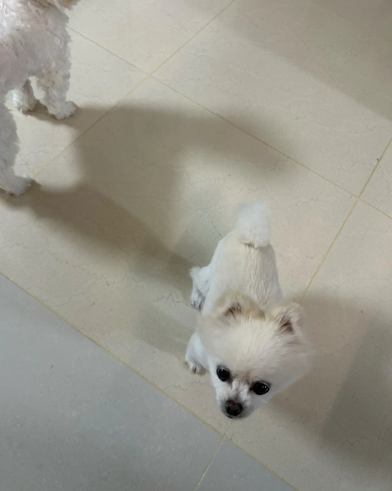 리뷰 사진 1