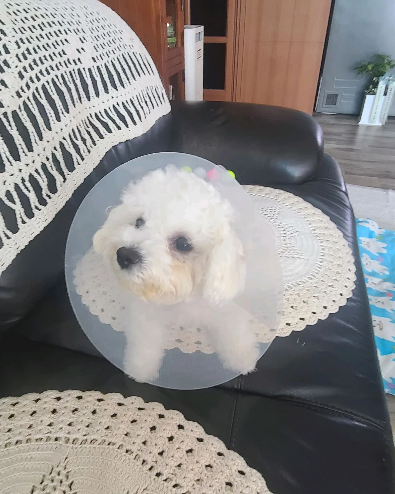 리뷰 사진 2