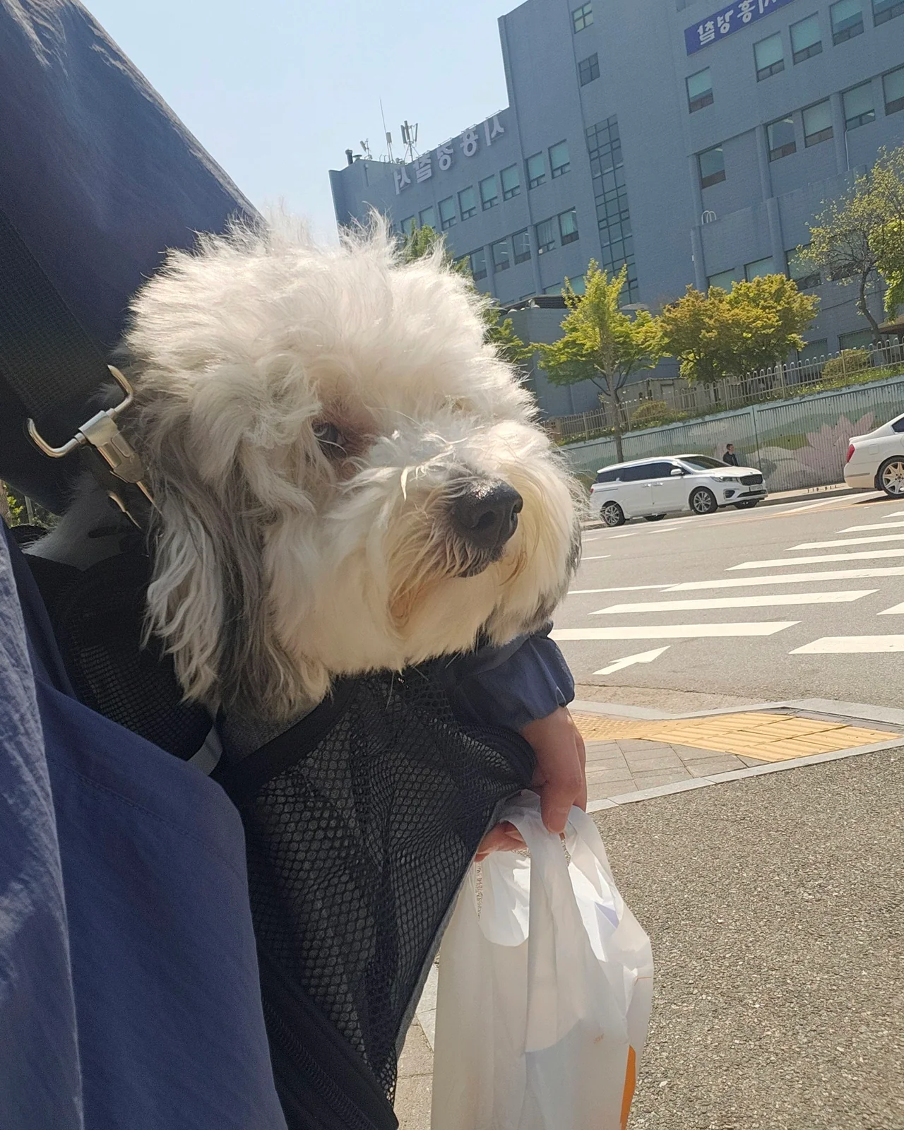 리뷰 사진 1