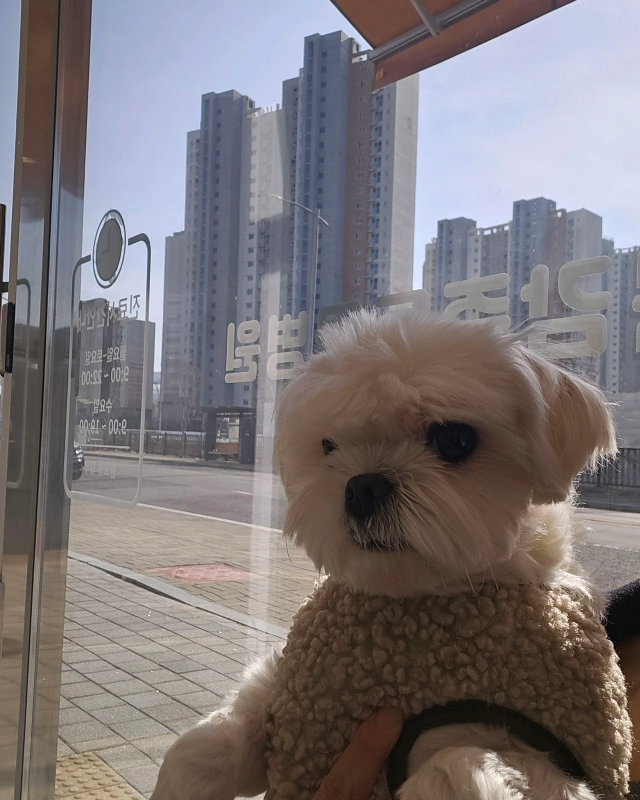 리뷰 사진 3