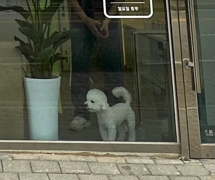리뷰 사진 2