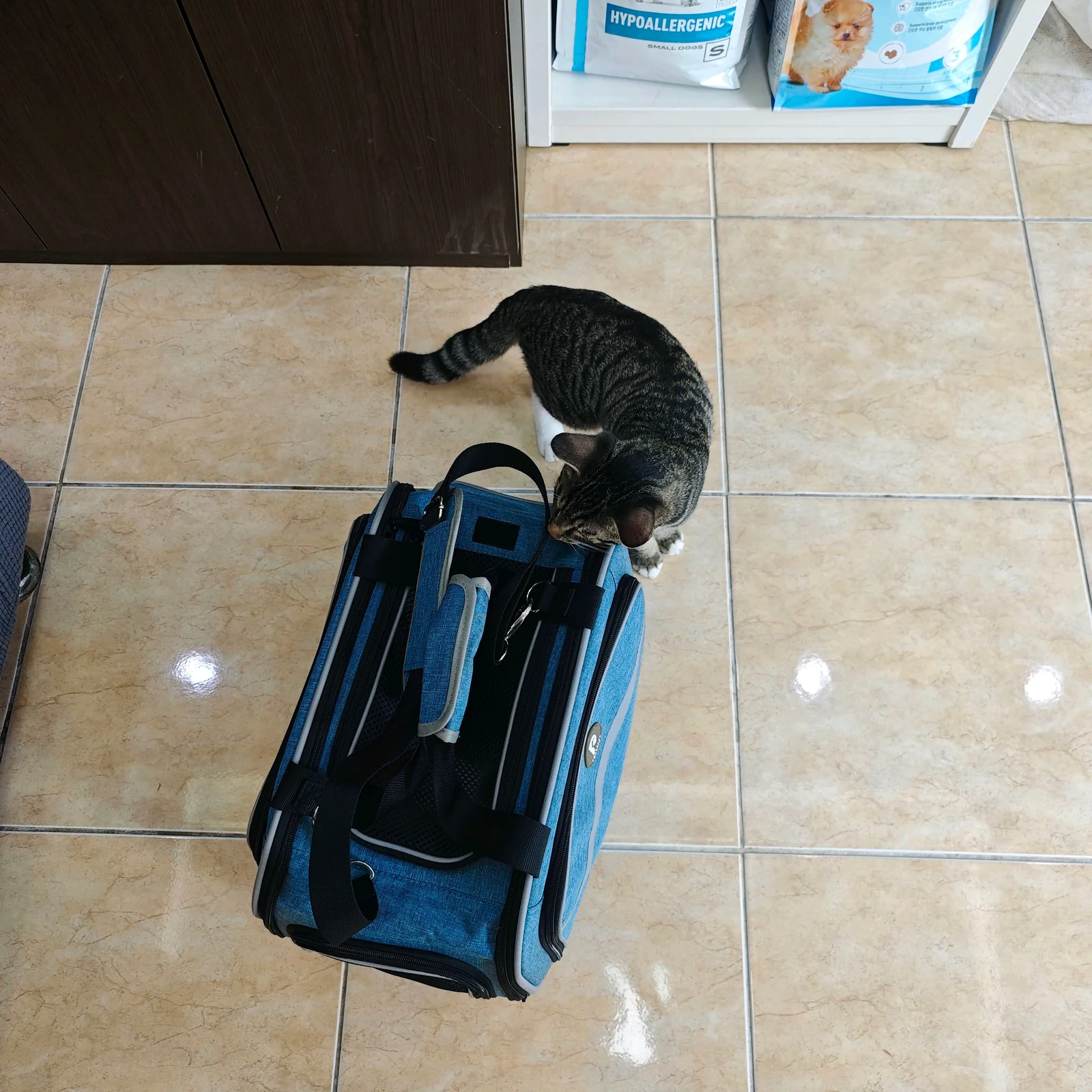 리뷰 사진 1