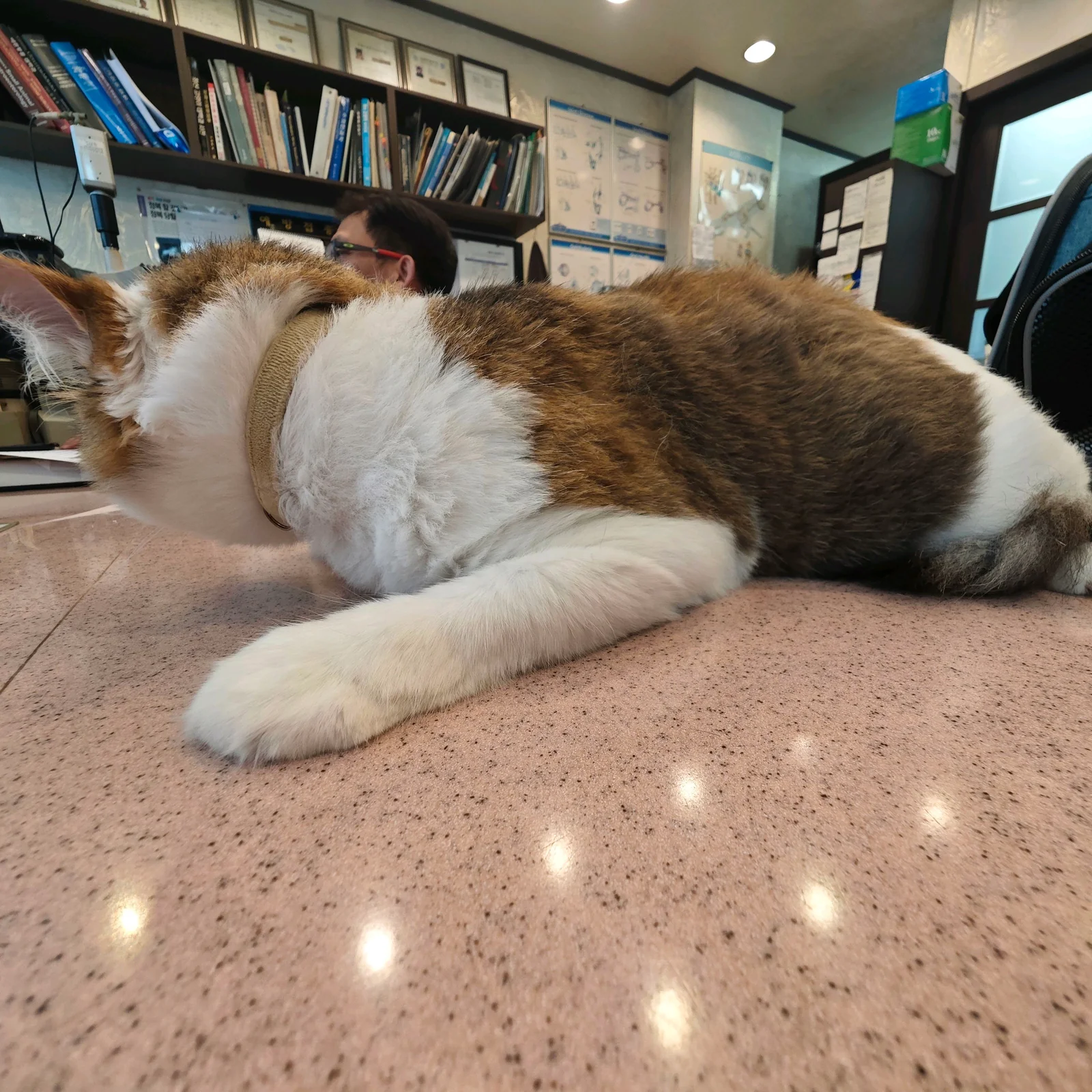리뷰 사진 2