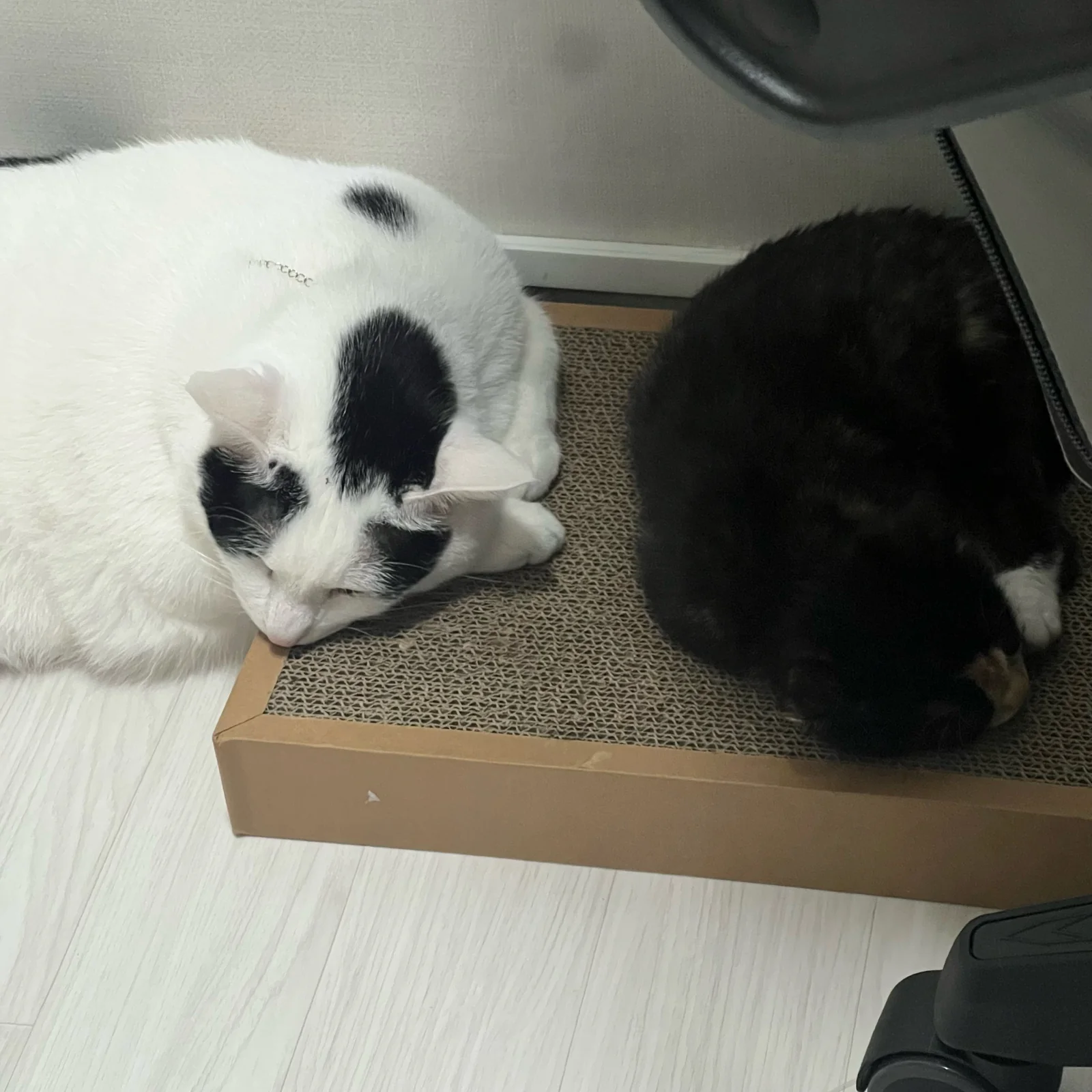 리뷰 사진 1