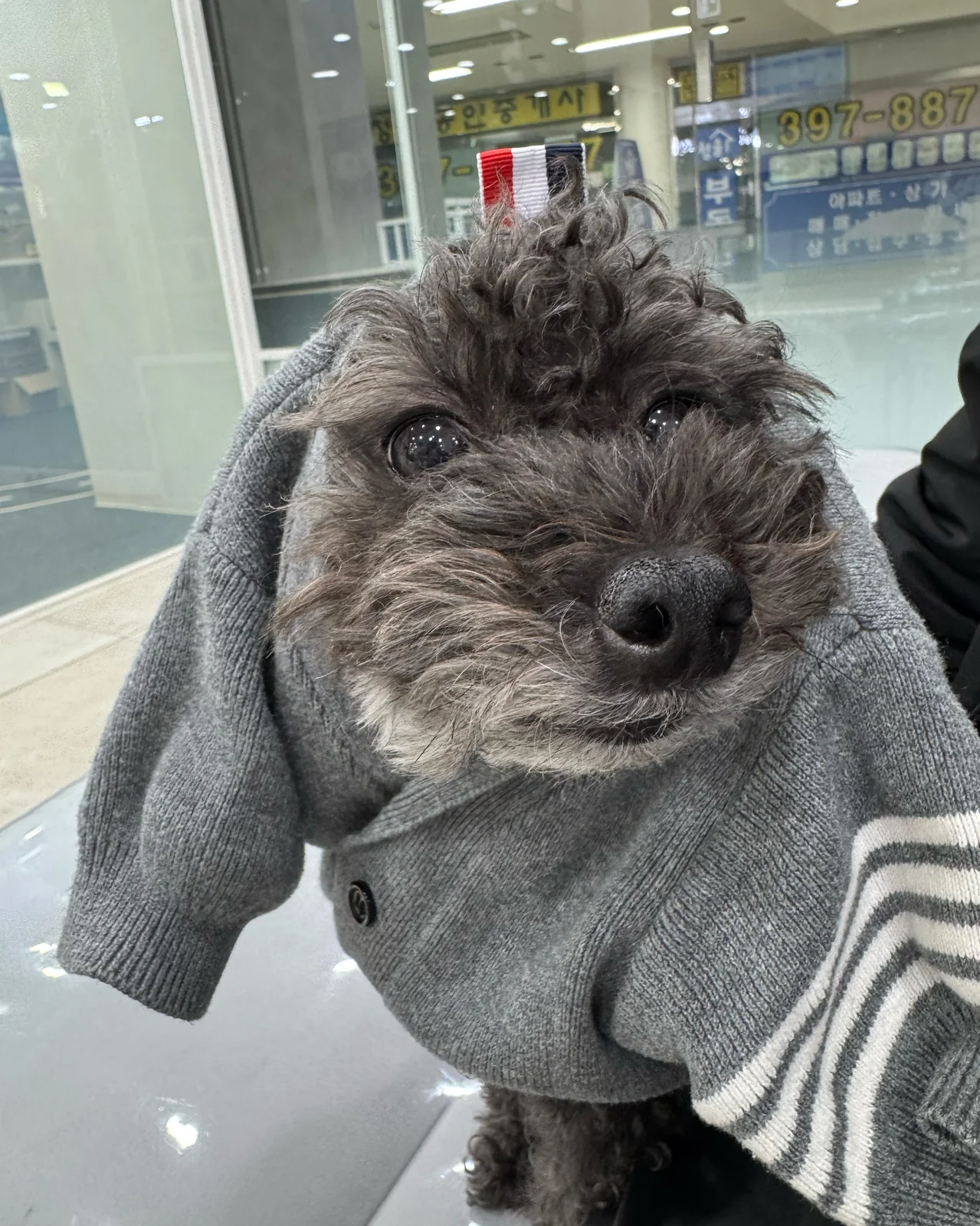 리뷰 사진 1