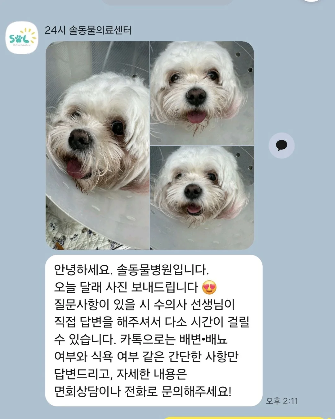 리뷰 사진 1