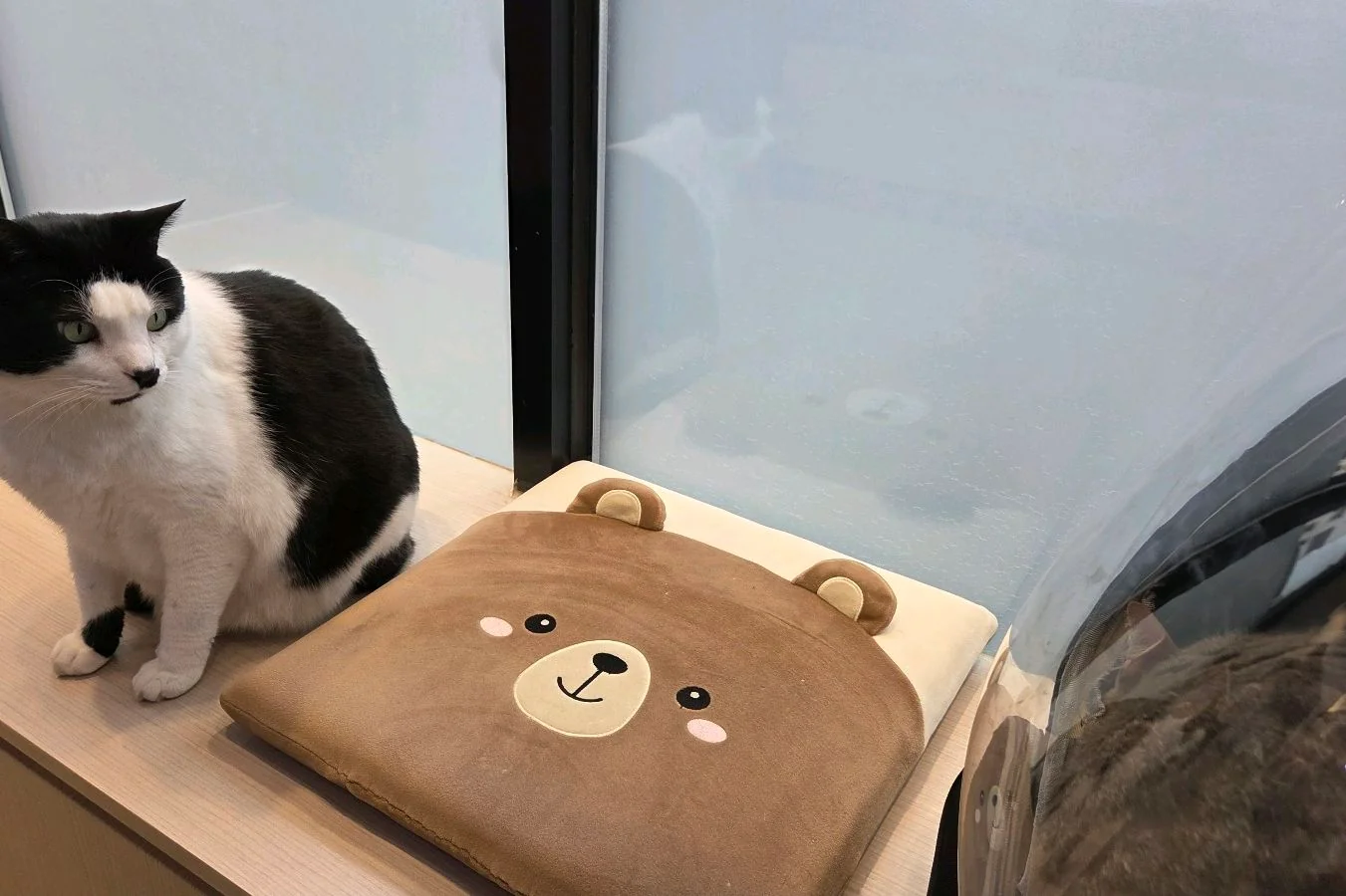 리뷰 사진 1