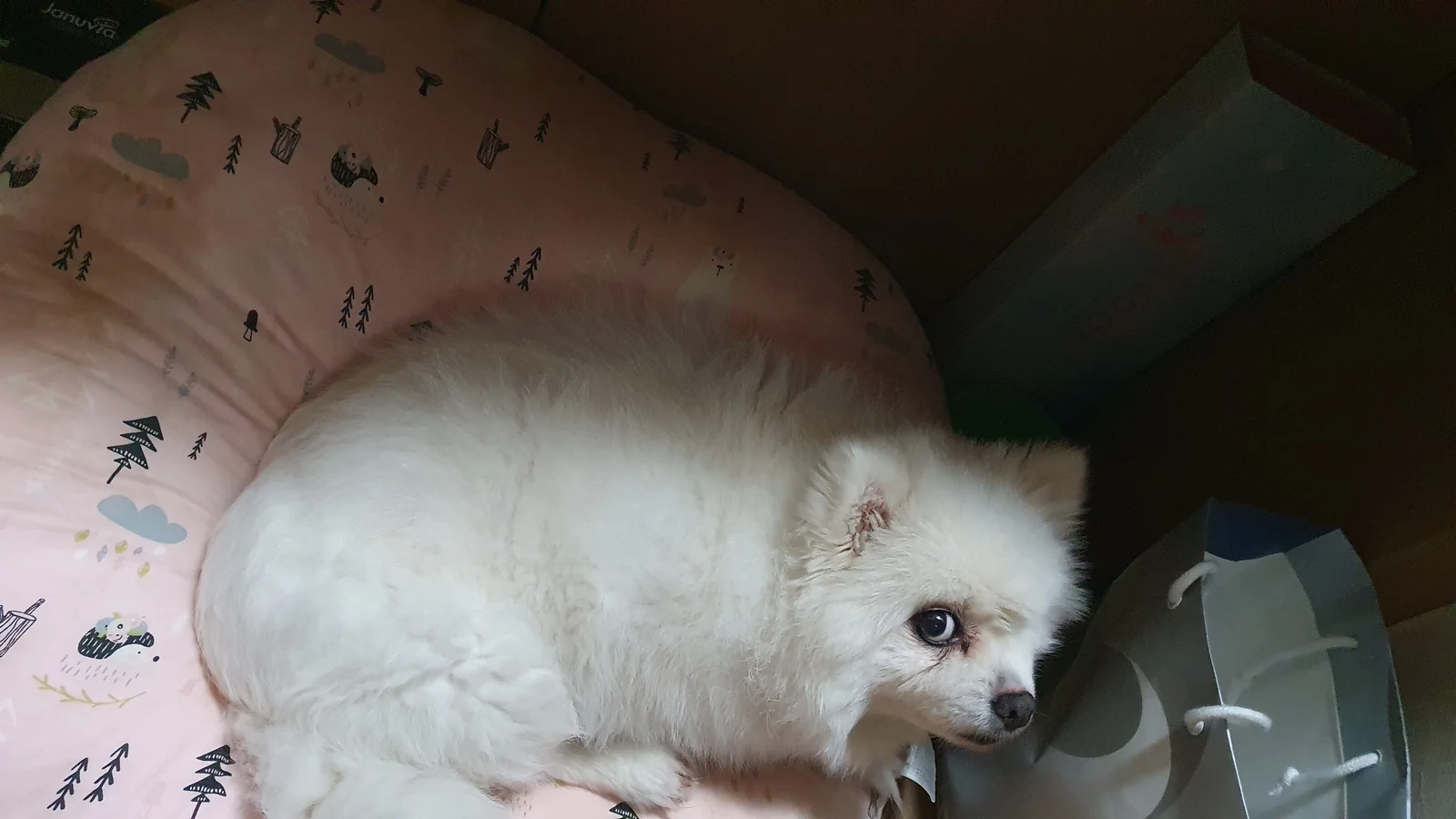 리뷰 사진 1