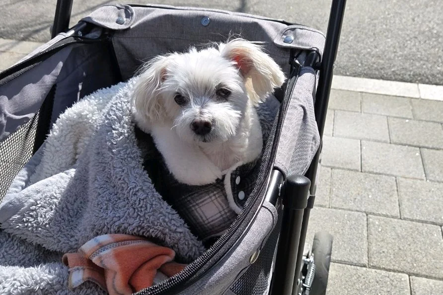 리뷰 사진 1