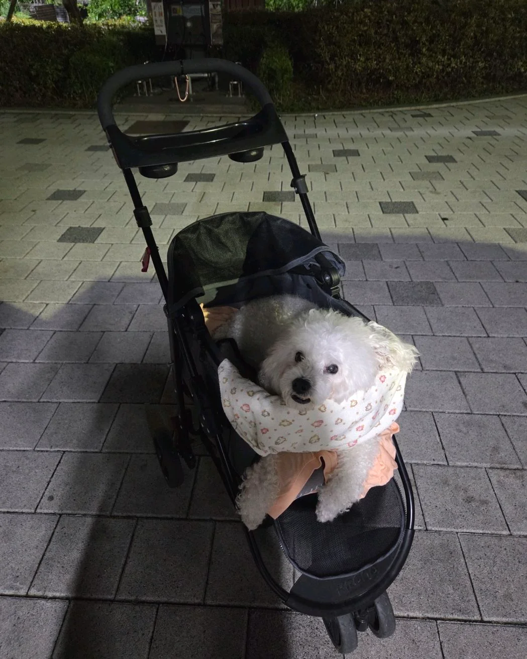 리뷰 사진 1