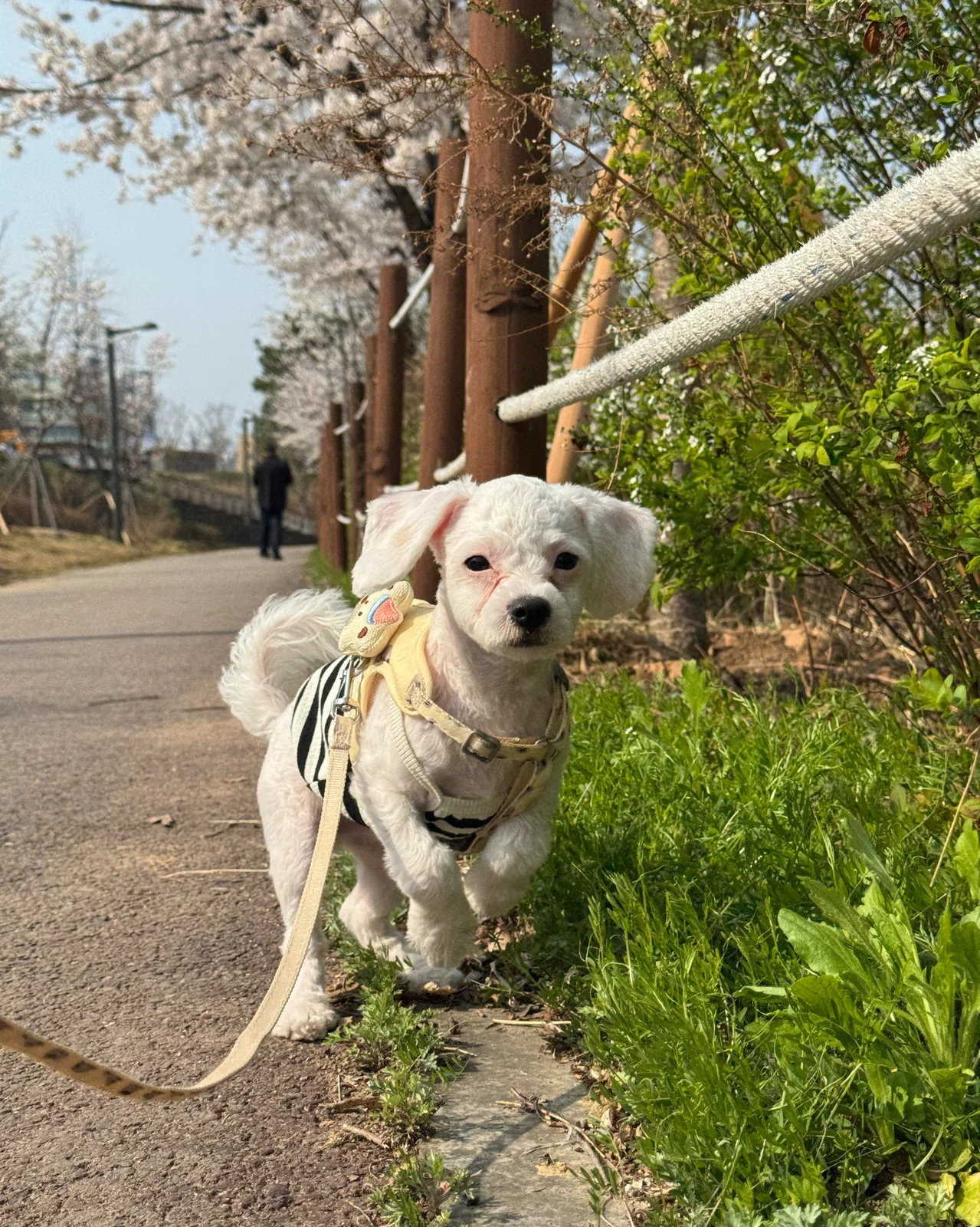 리뷰 사진 1