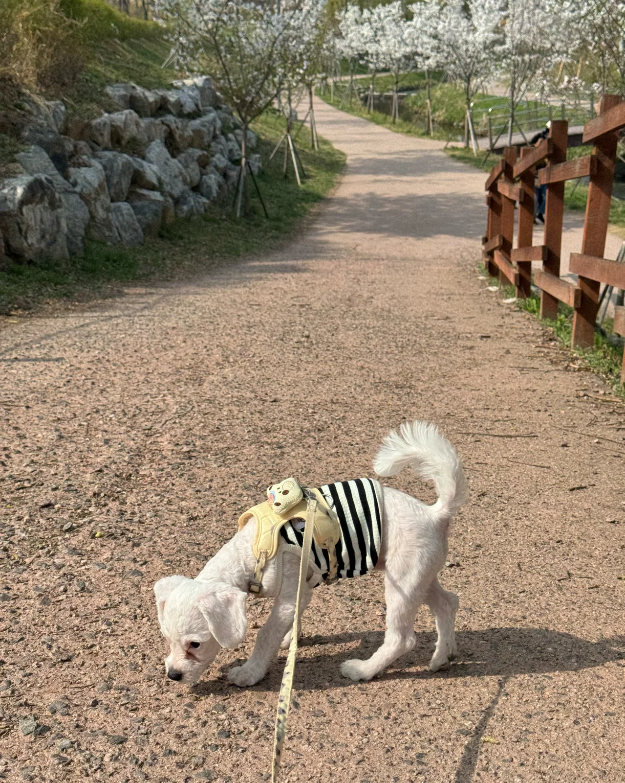 리뷰 사진 3