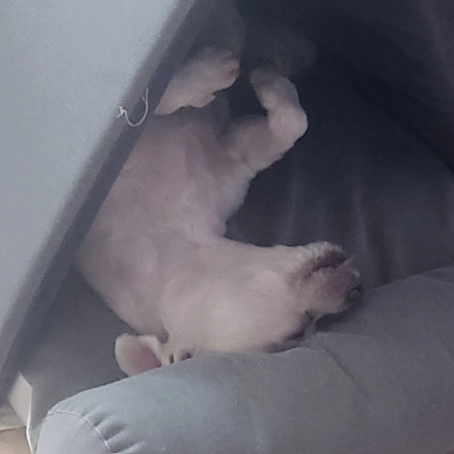리뷰 사진 1
