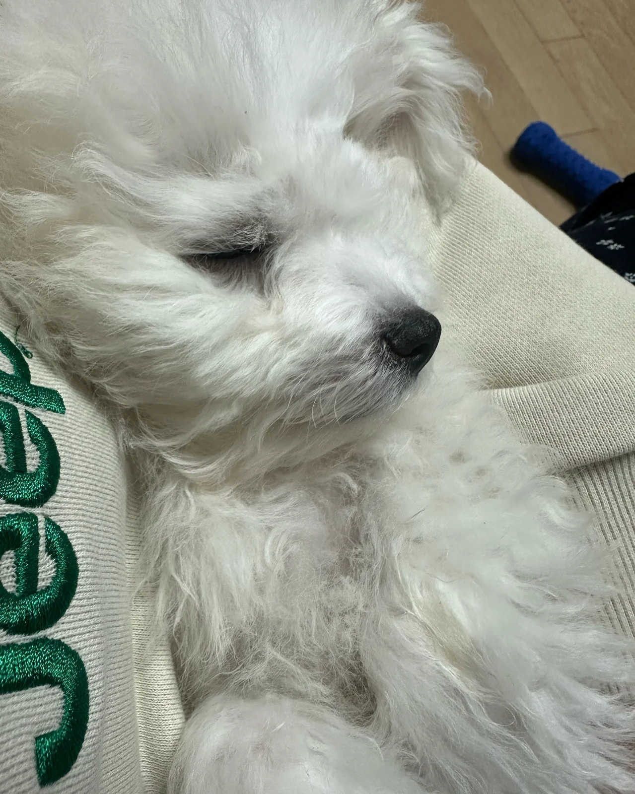 리뷰 사진 1