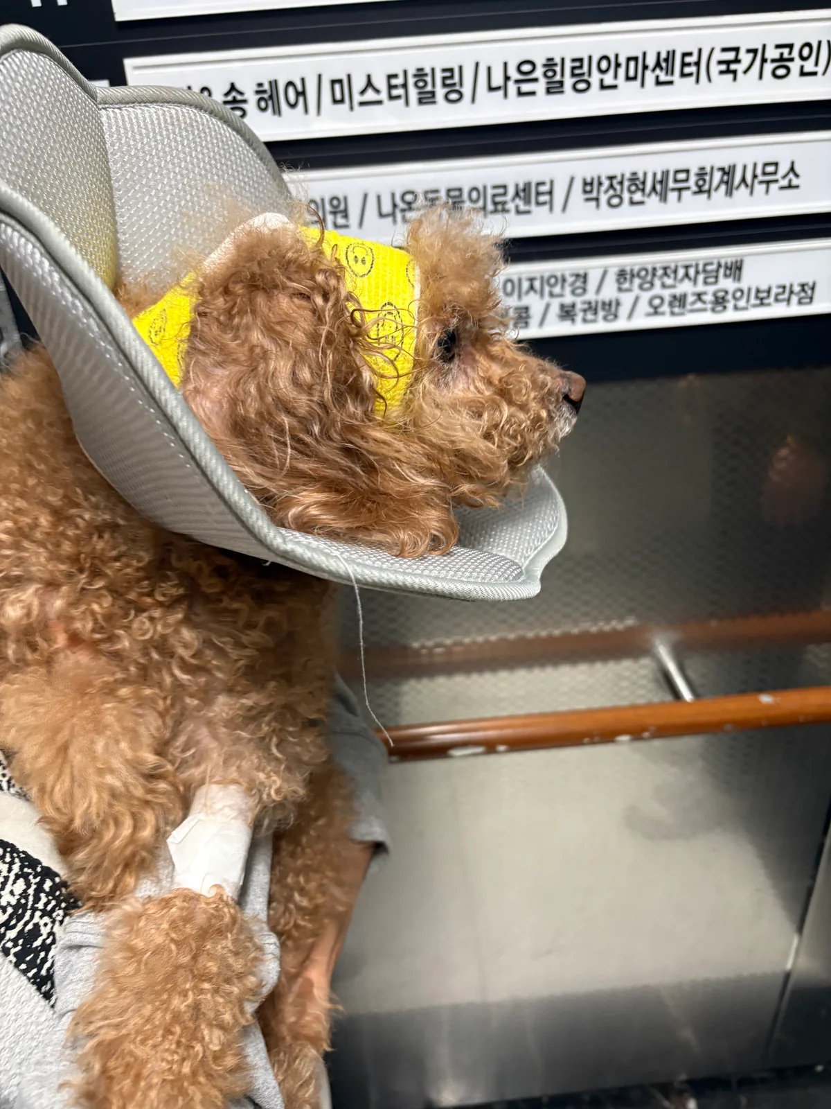 리뷰 사진 1