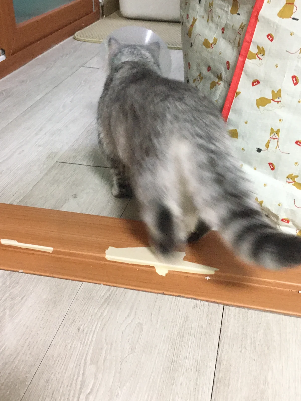 리뷰 사진 1