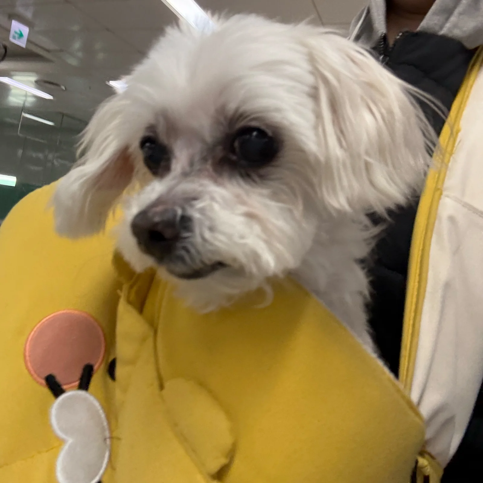 리뷰 사진 1