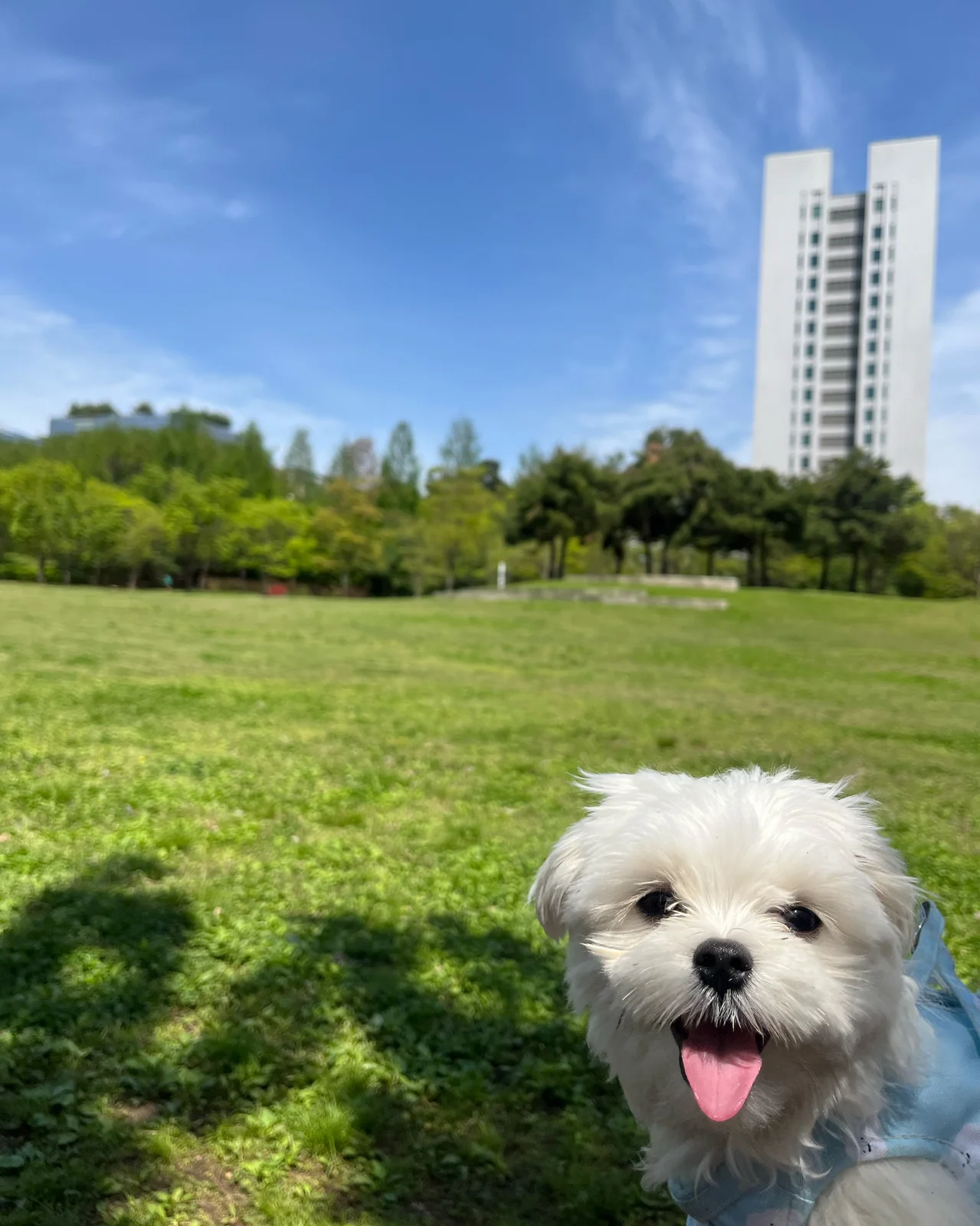 리뷰 사진 1
