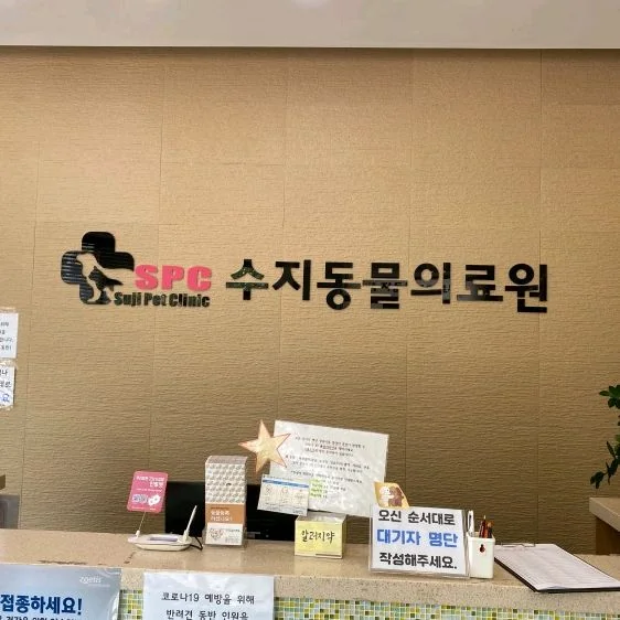 리뷰 사진 1