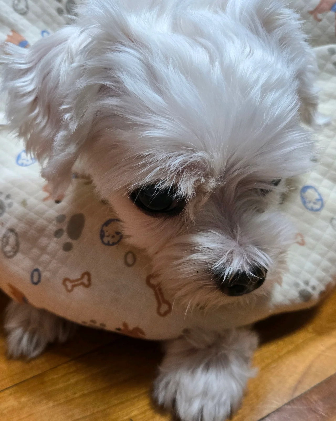 리뷰 사진 1