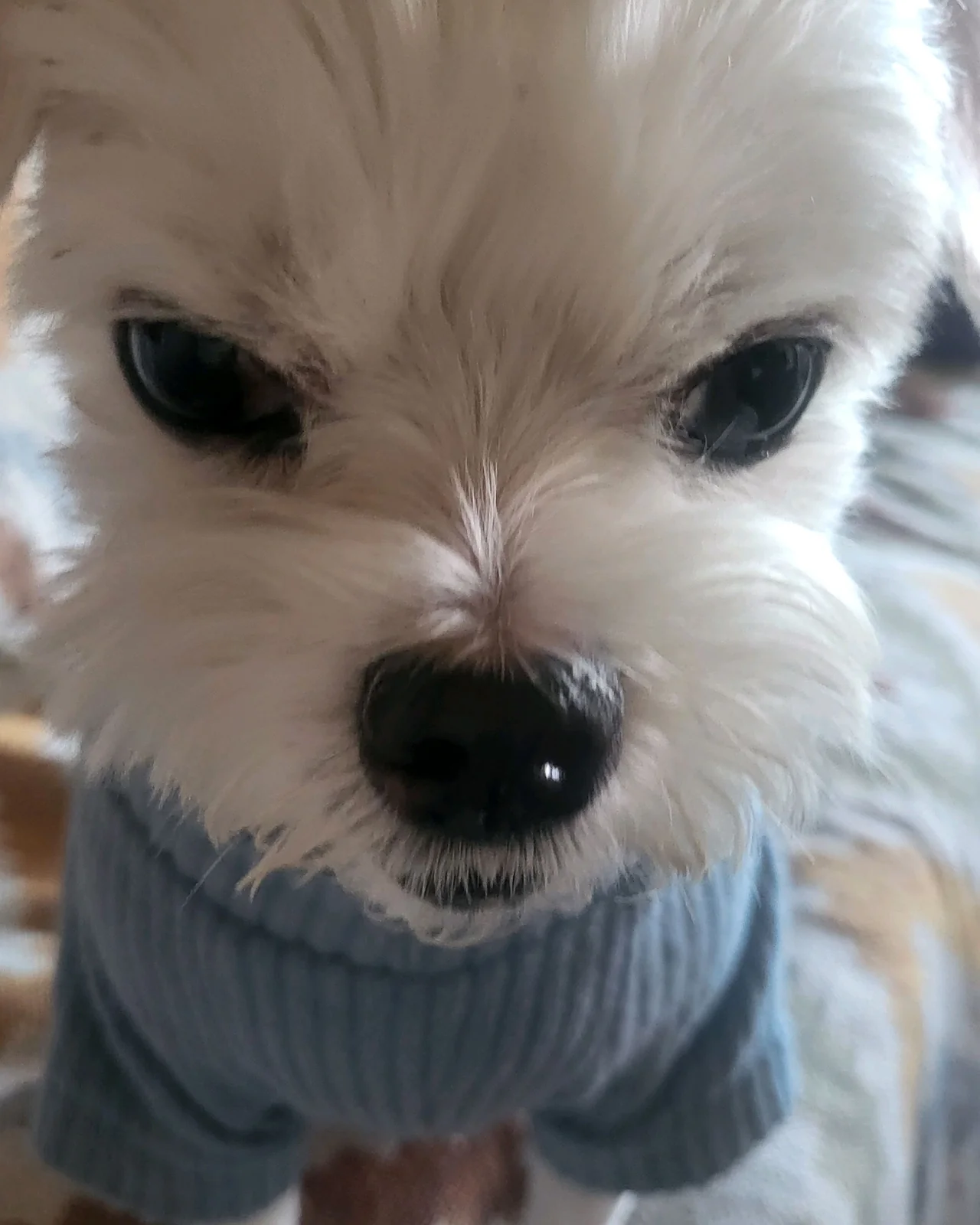 리뷰 사진 1