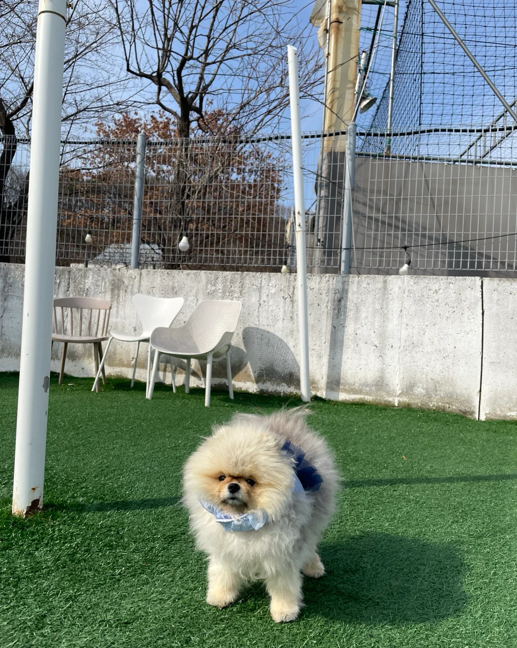 리뷰 사진 1