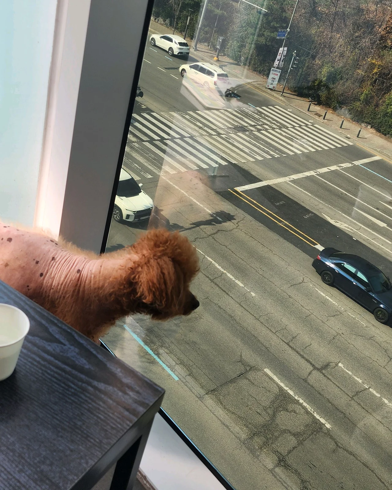 리뷰 사진 1