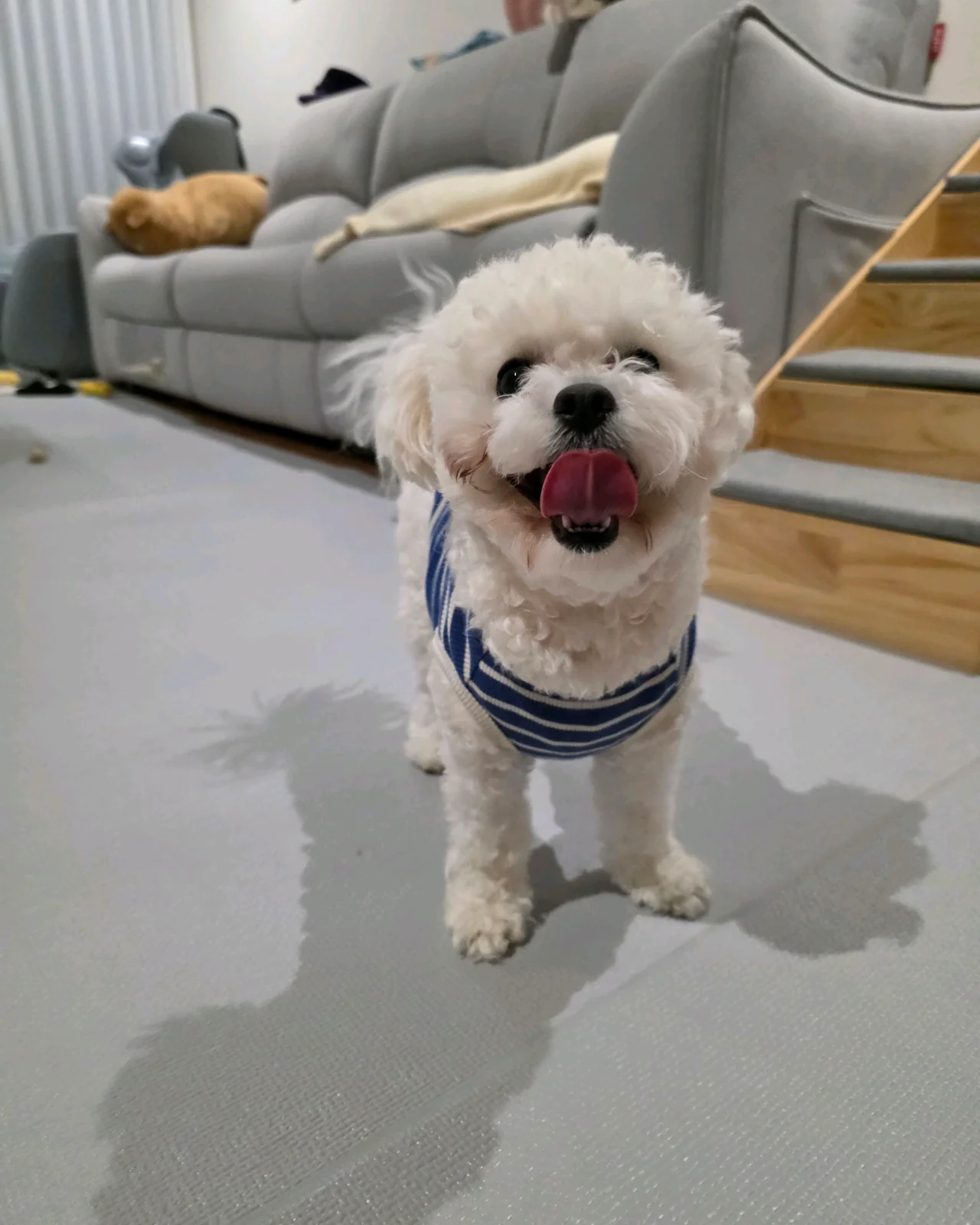 리뷰 사진 1