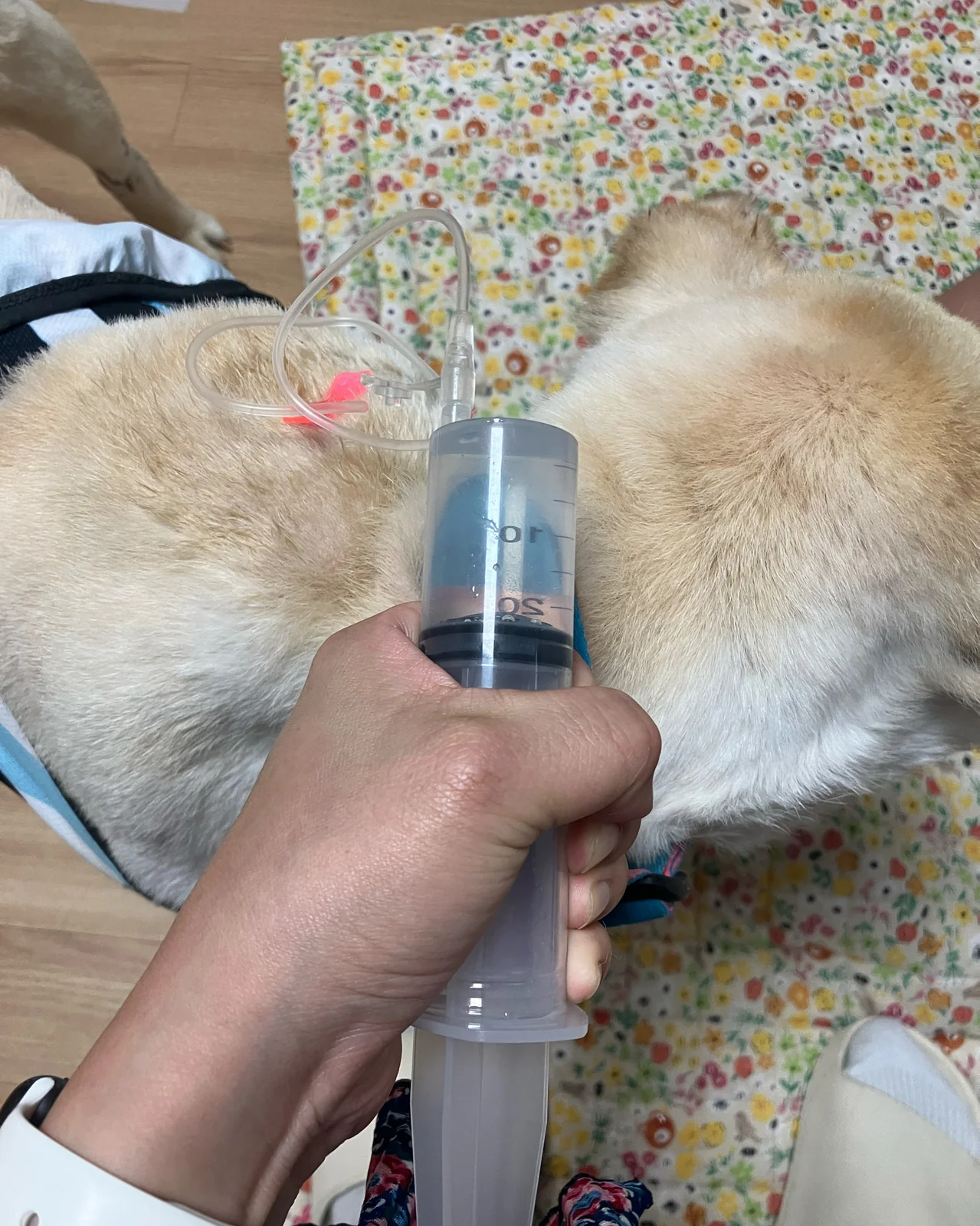 리뷰 사진 3