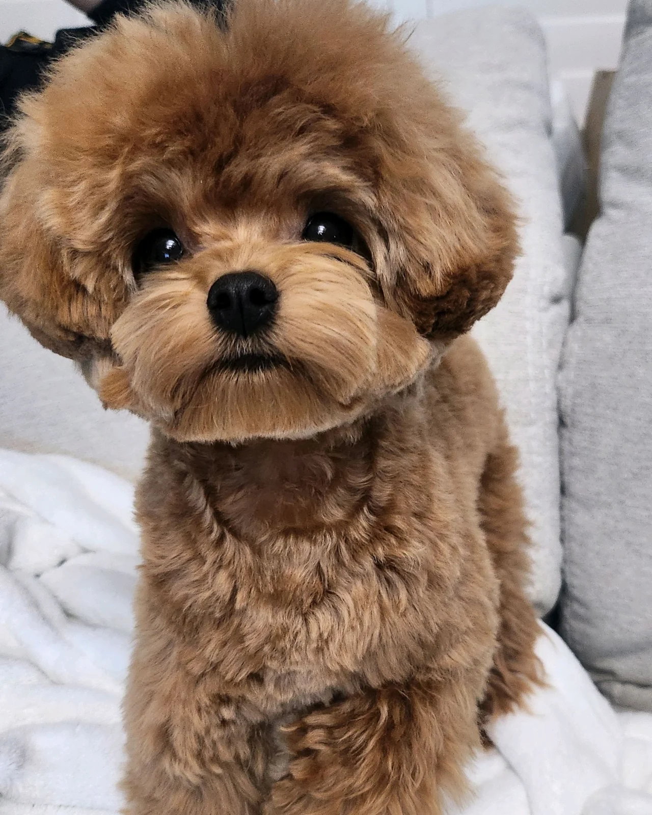 리뷰 사진 1