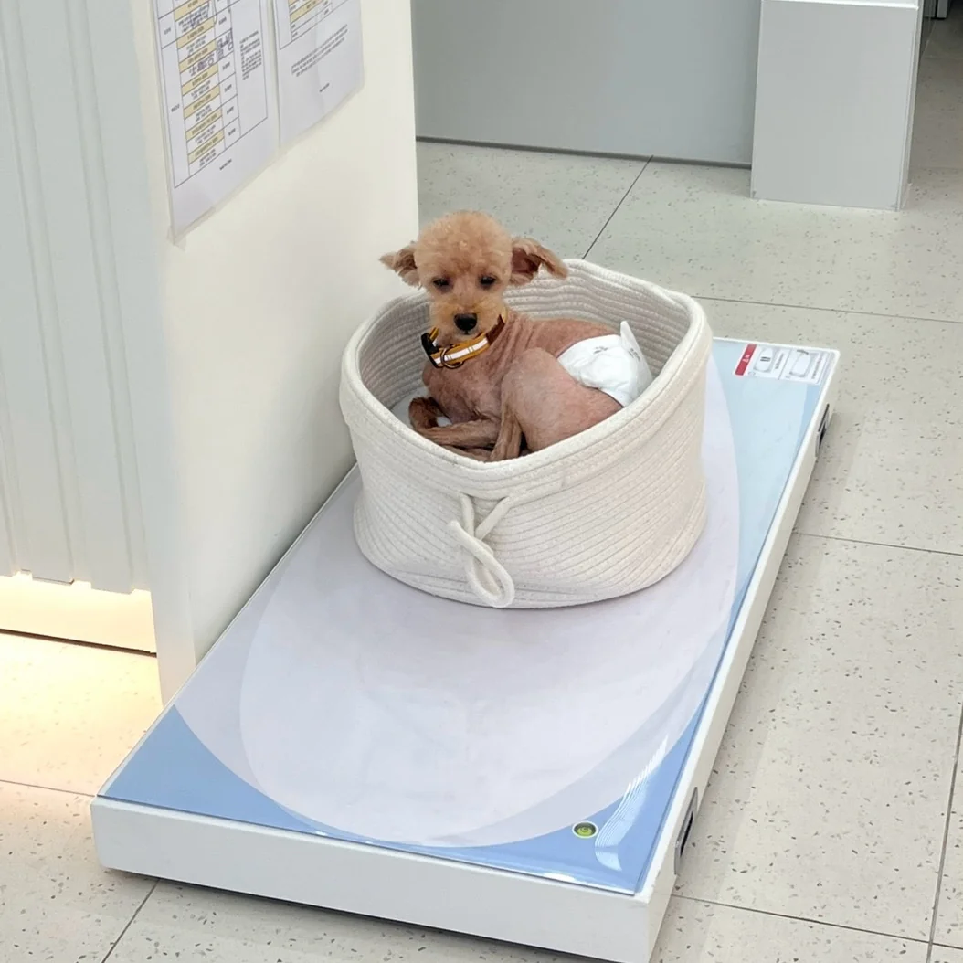 리뷰 사진 1
