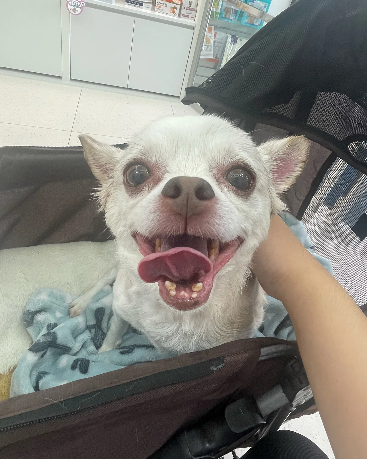 리뷰 사진 1
