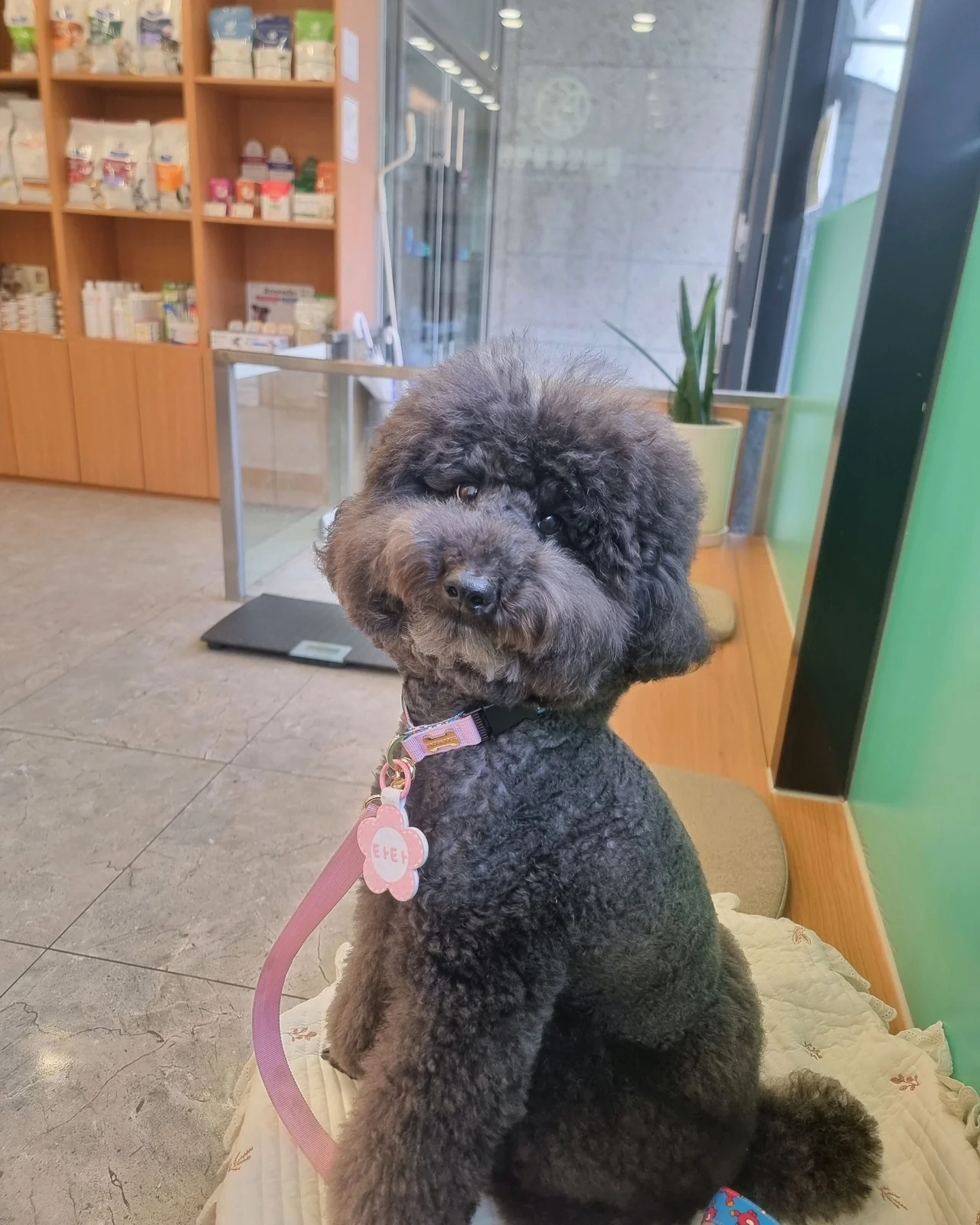 리뷰 사진 1