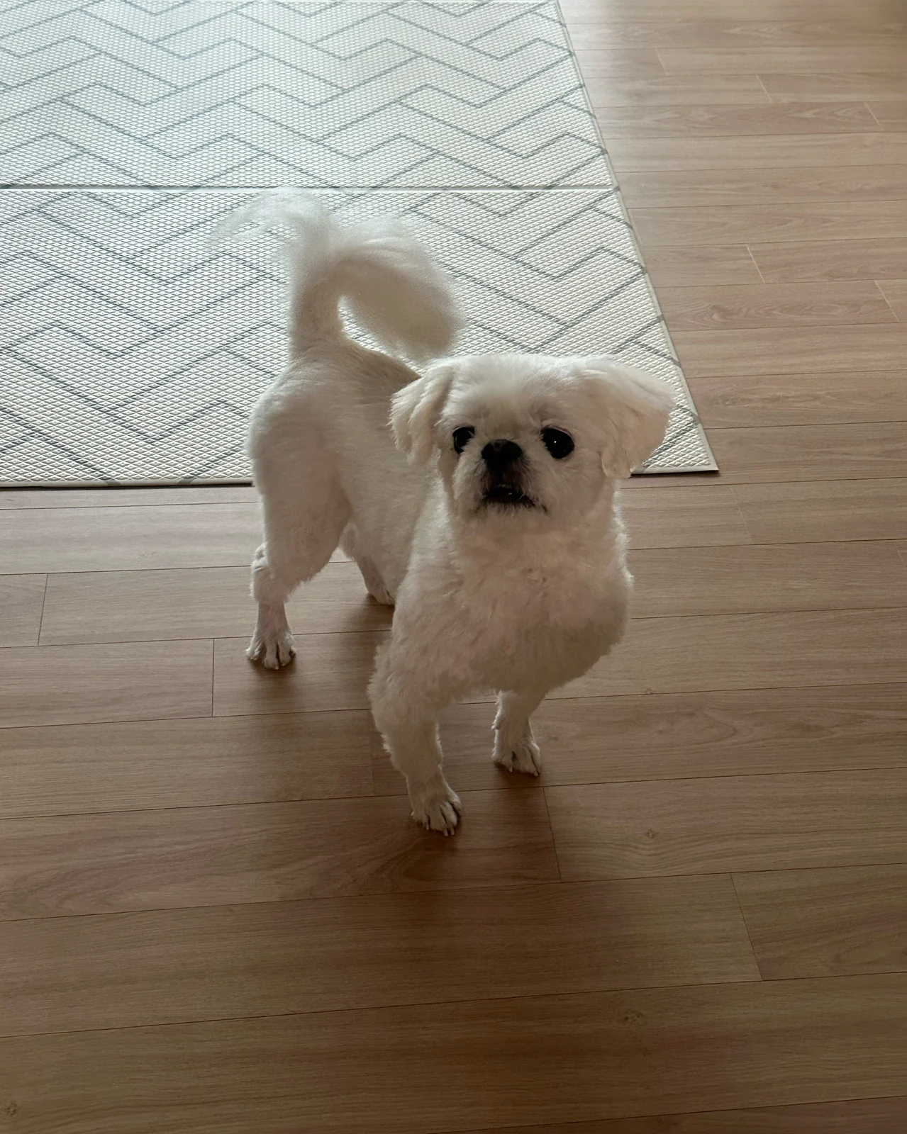 리뷰 사진 2