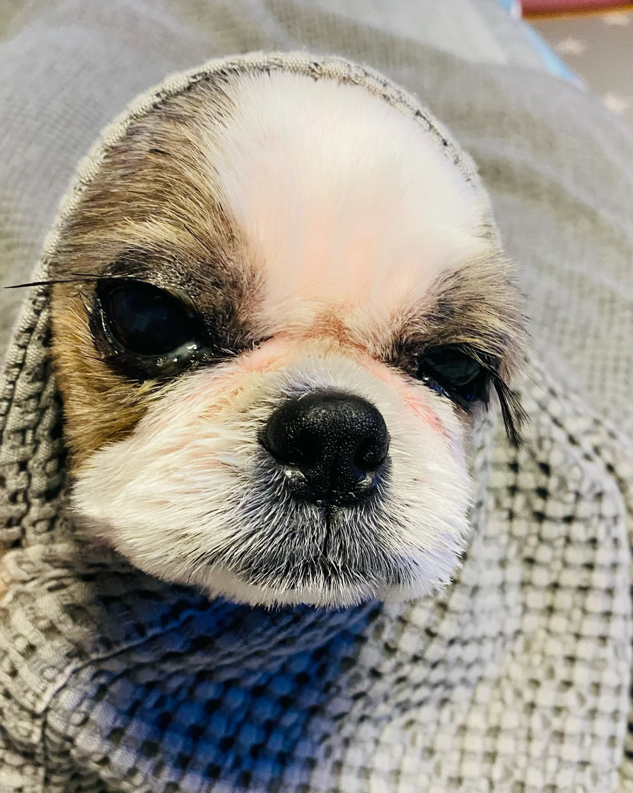 리뷰 사진 2