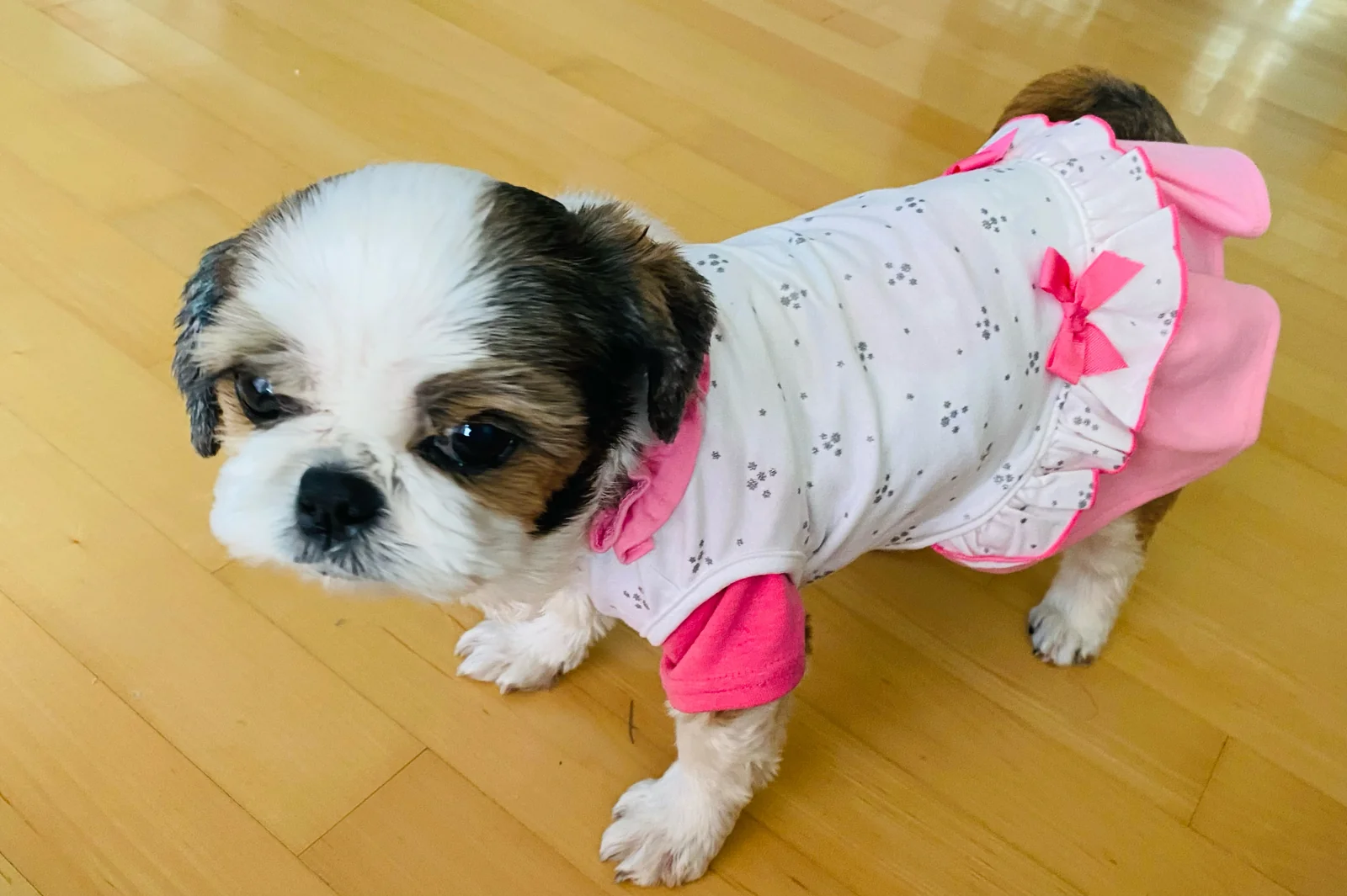 리뷰 사진 3
