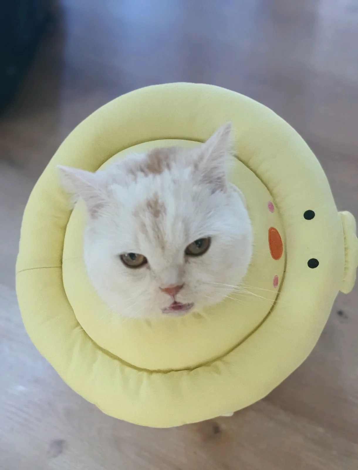 리뷰 사진 4
