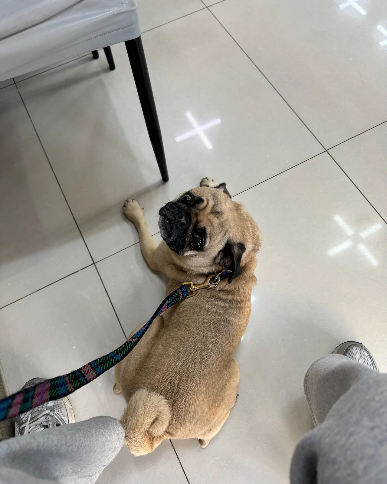 리뷰 사진 1