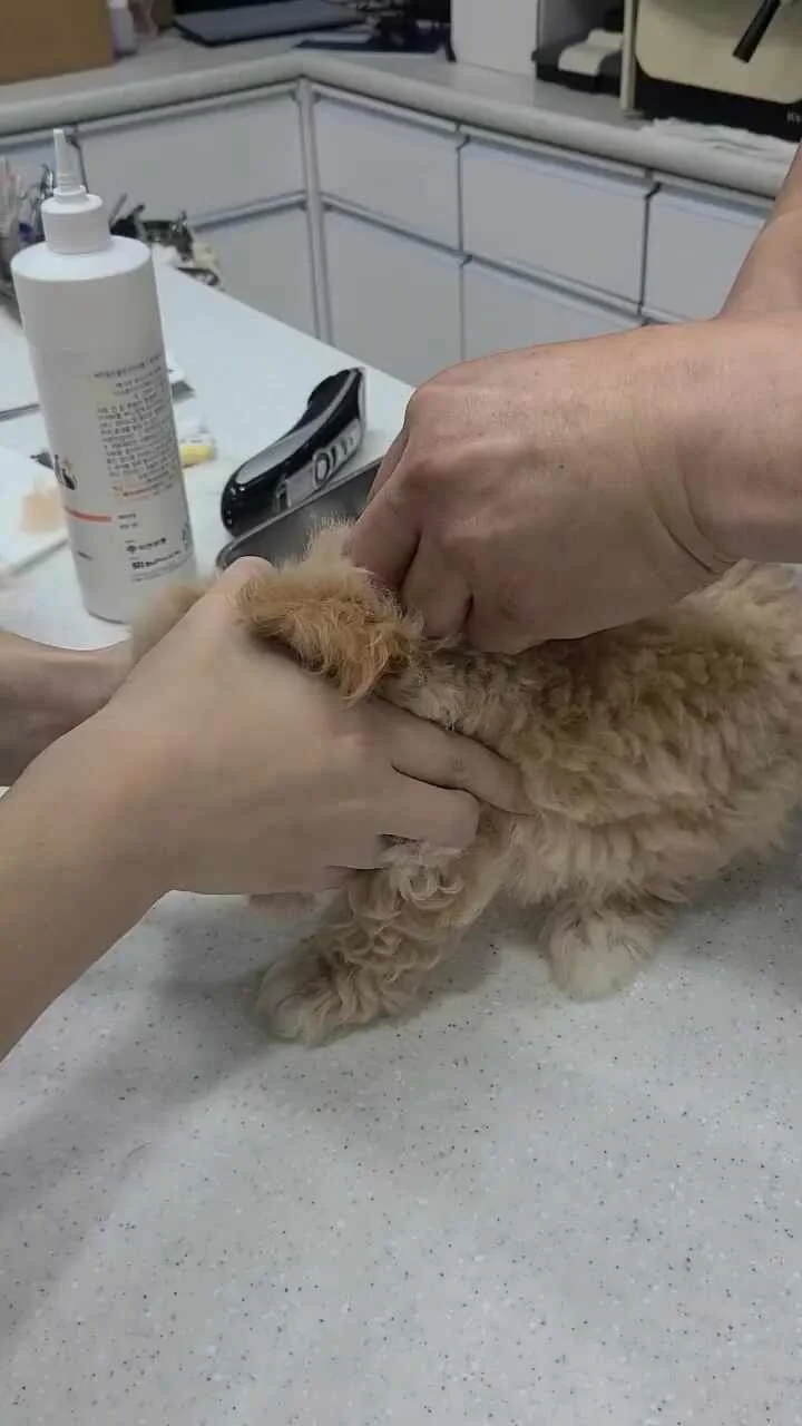 리뷰 사진 1
