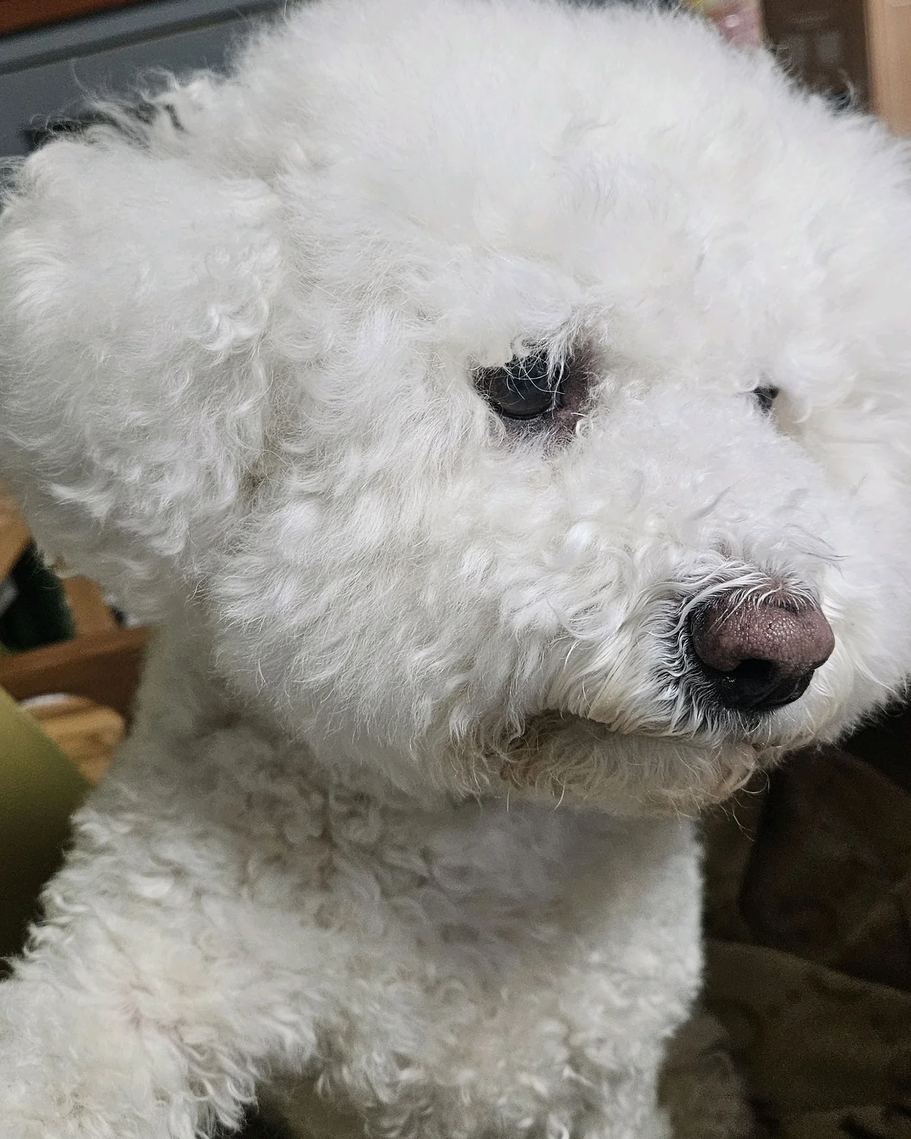 리뷰 사진 1