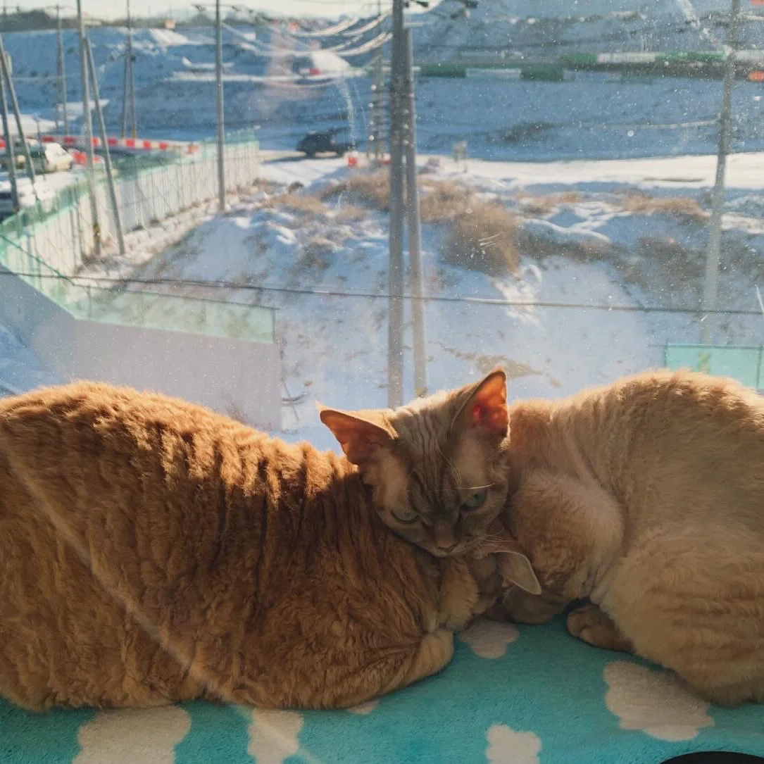 리뷰 사진 1