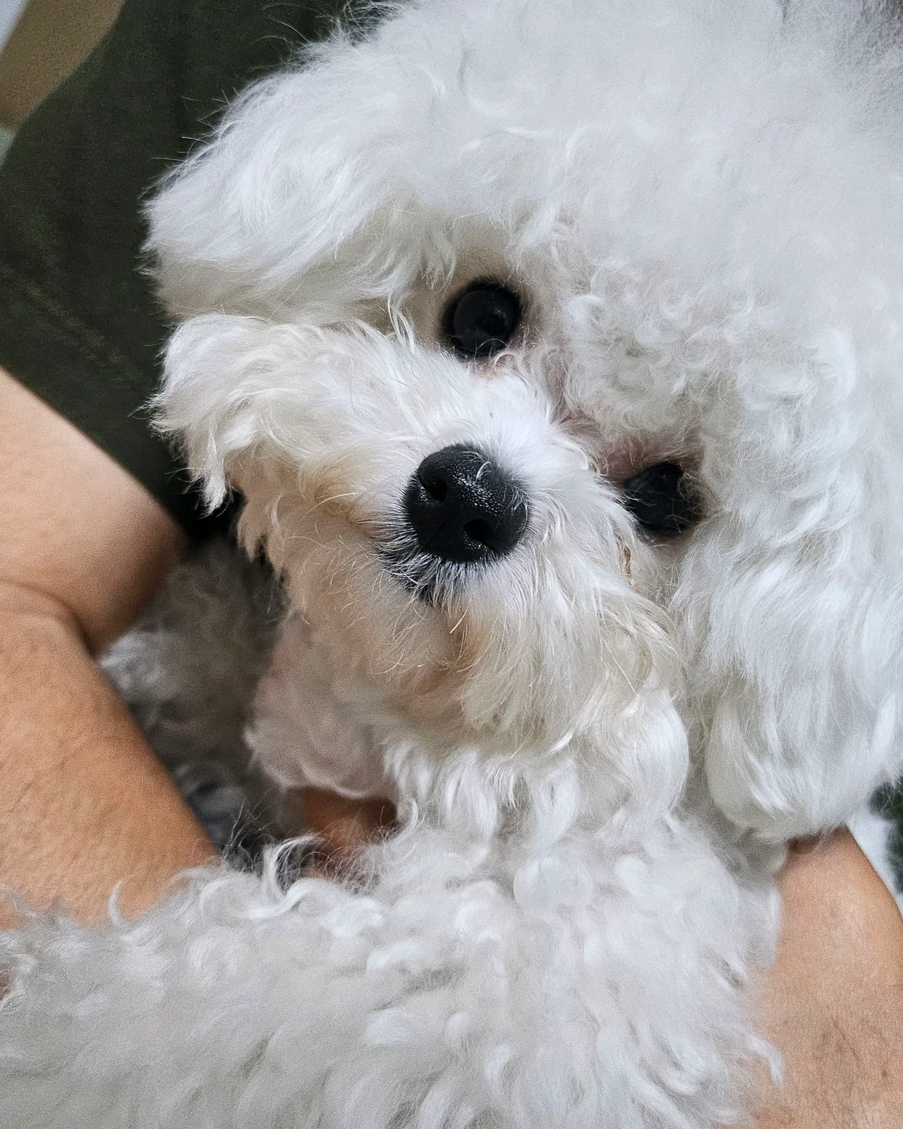 리뷰 사진 1