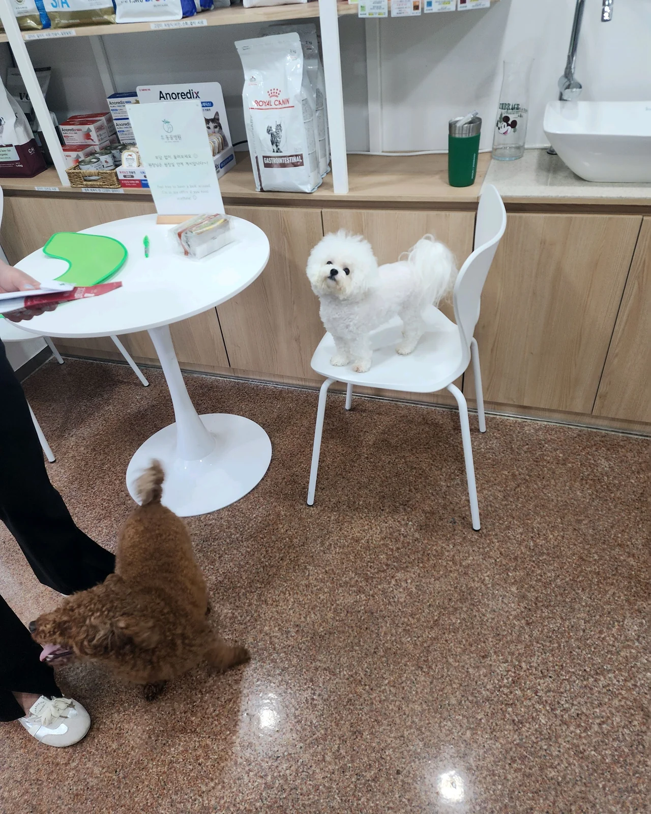 리뷰 사진 4