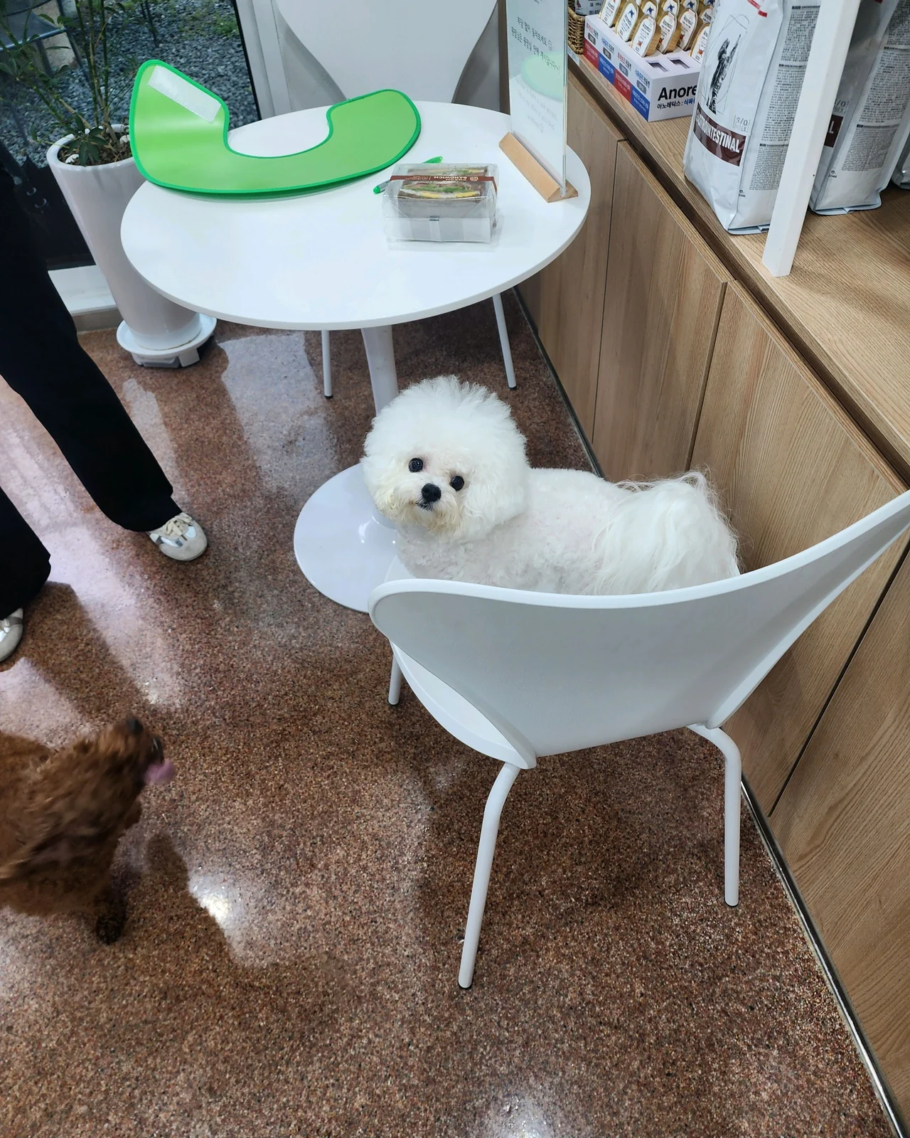 리뷰 사진 5
