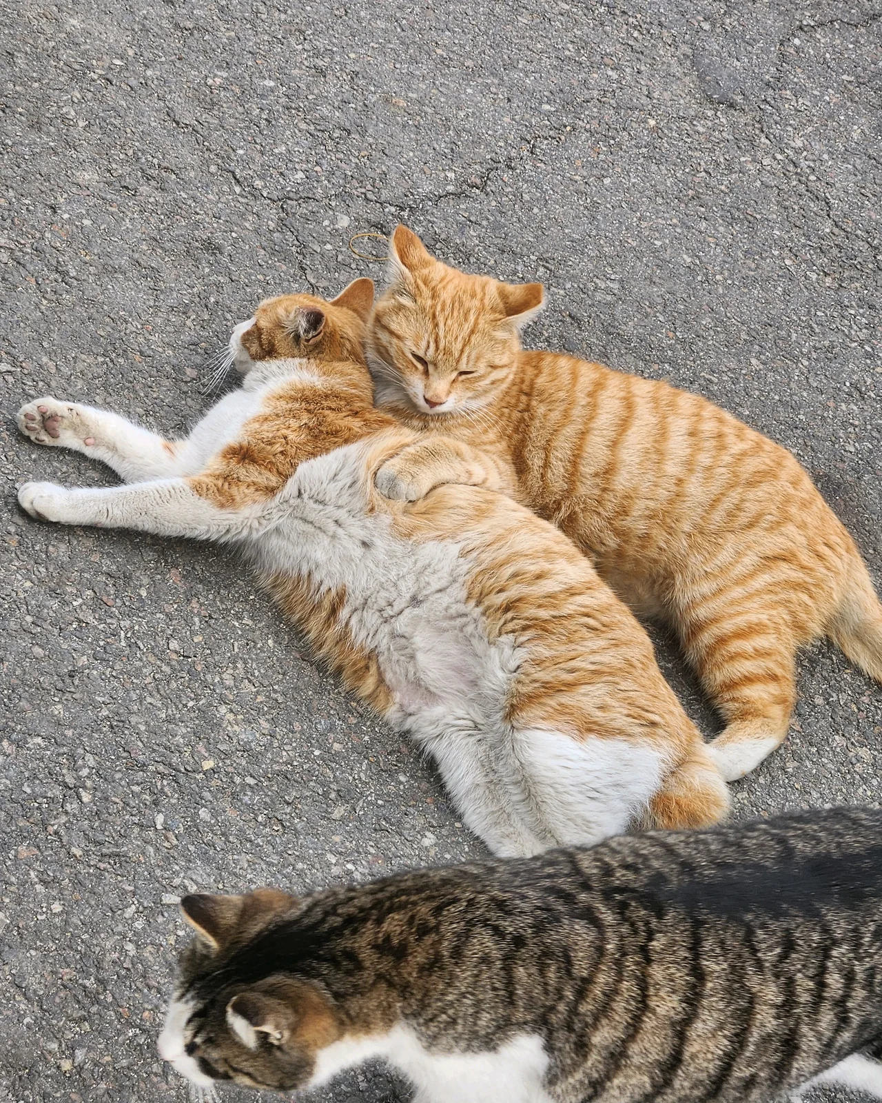 리뷰 사진 3