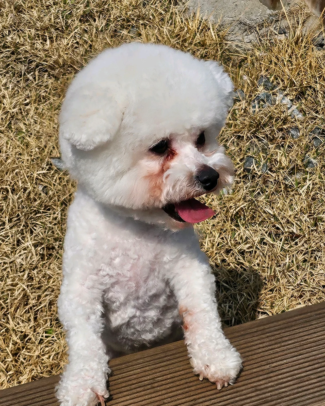 리뷰 사진 2