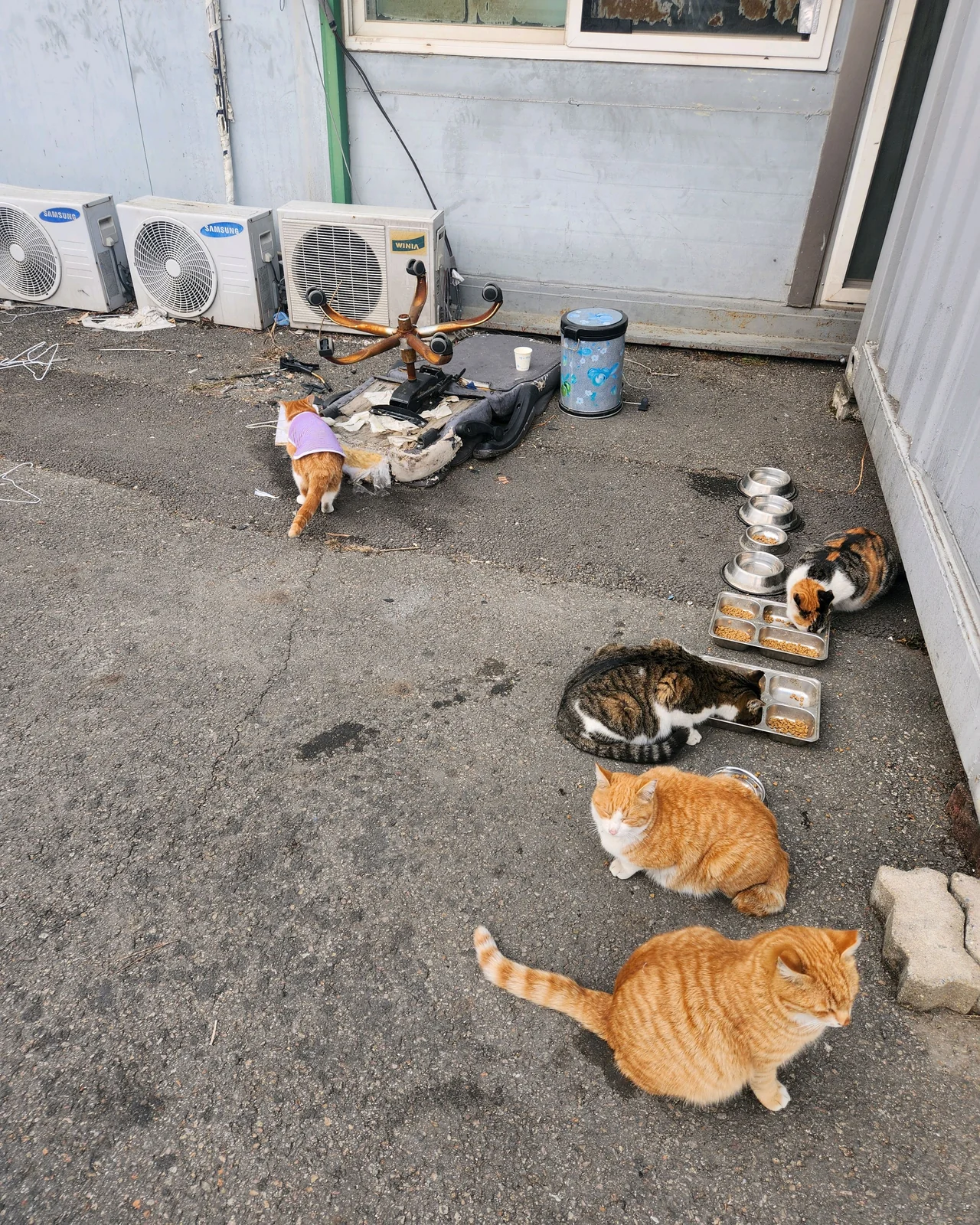 리뷰 사진 1
