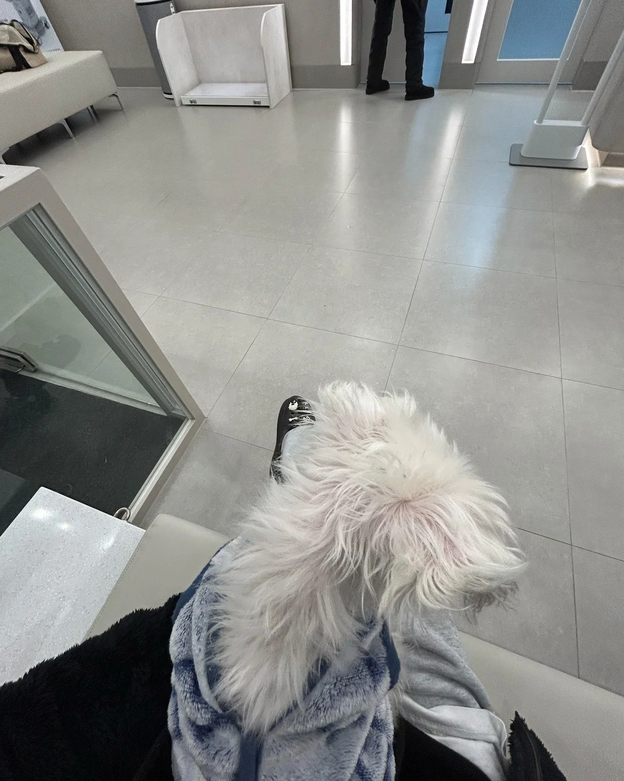 리뷰 사진 1